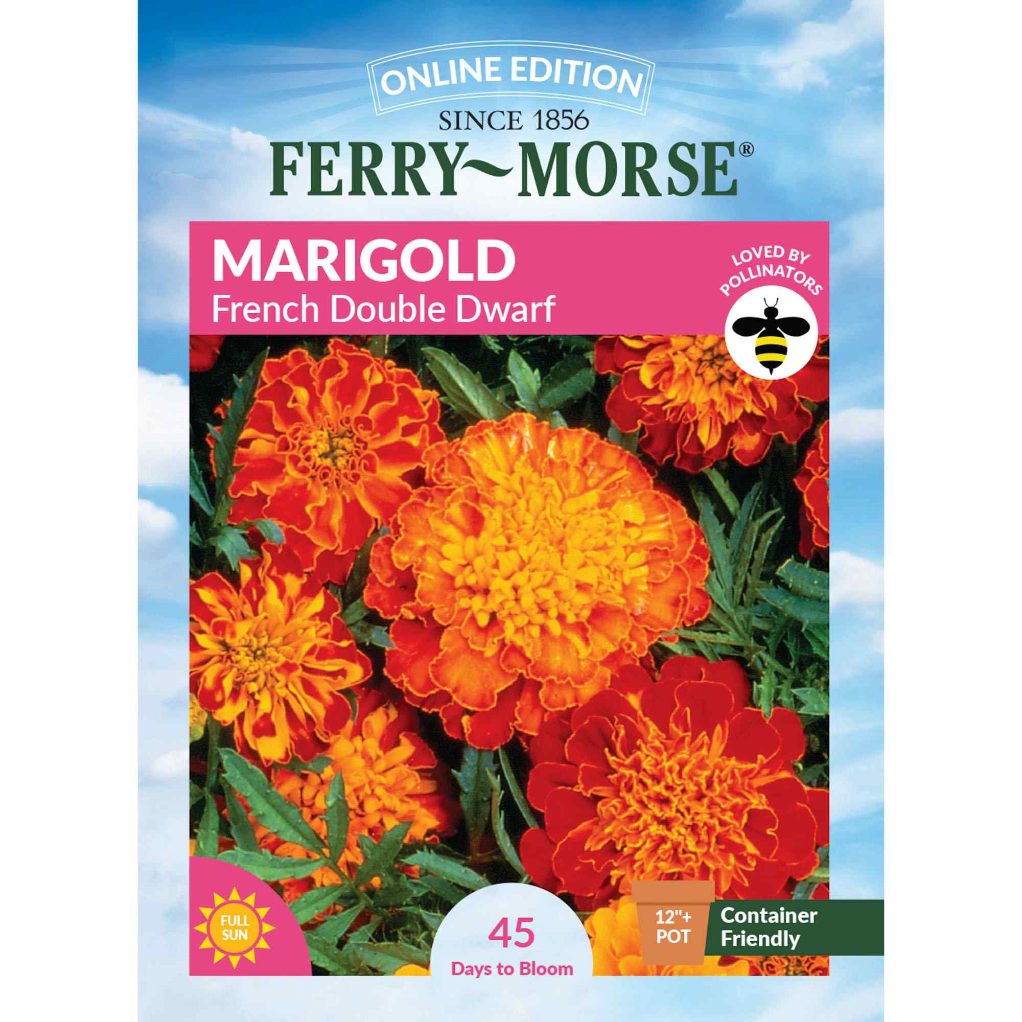 Marigold French front of packet